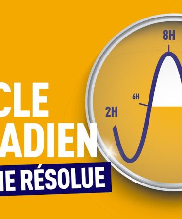 l’horloge du corps : le rôle crucial de la lumière