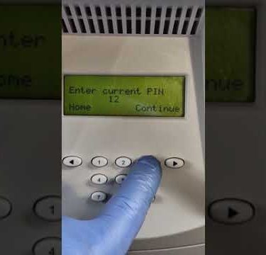 1733601458 hqdefault.jpg
