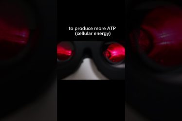 1733953568 maxresdefault.jpg