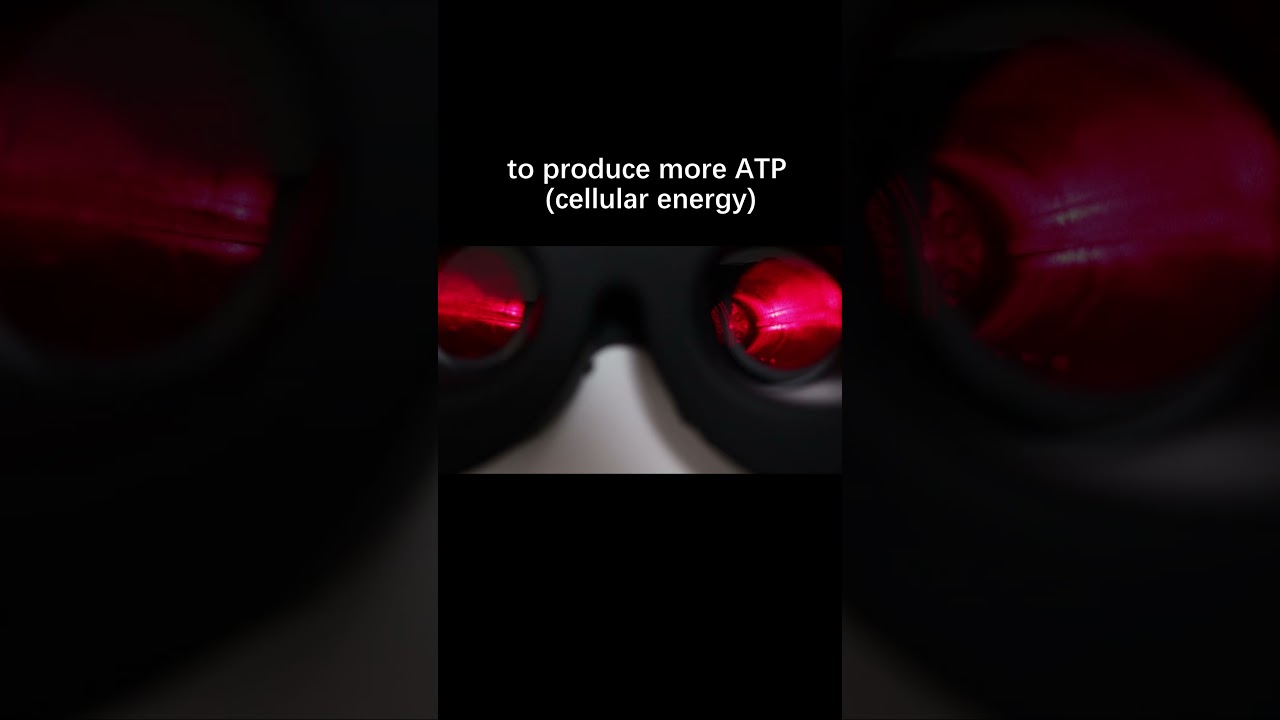1733953568 maxresdefault.jpg