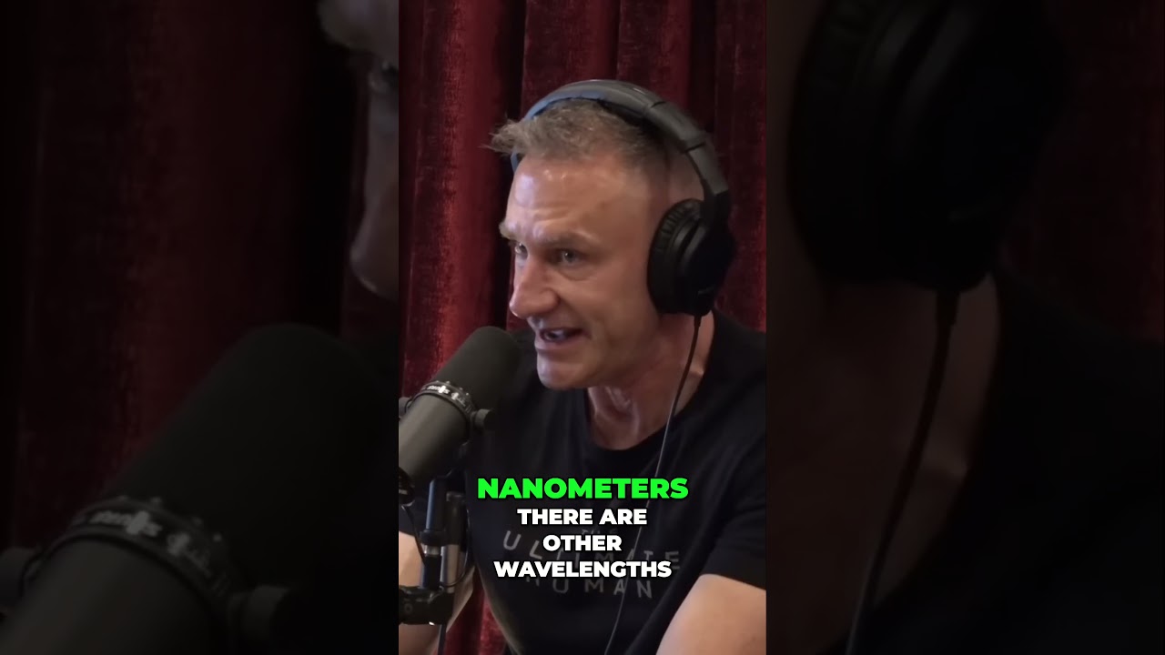 1734185033 maxresdefault.jpg