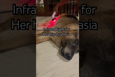1734719034 maxresdefault.jpg