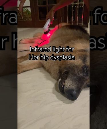 1734719034 maxresdefault.jpg