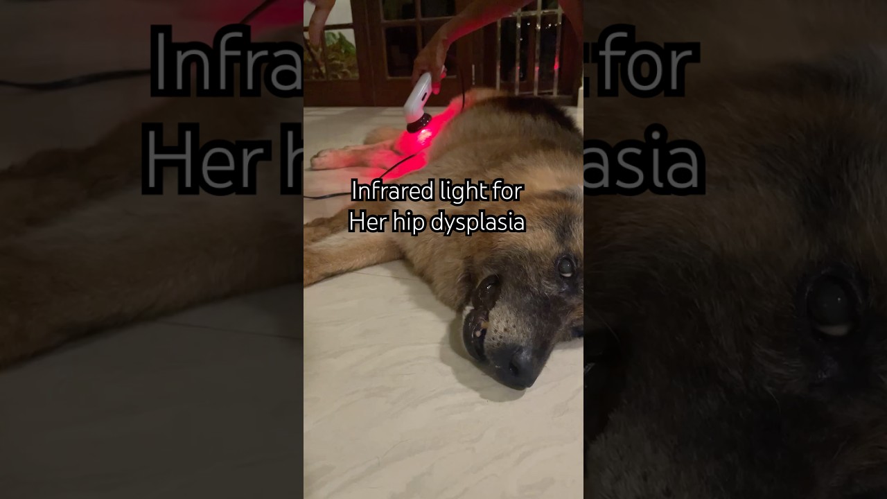 1734719034 maxresdefault.jpg