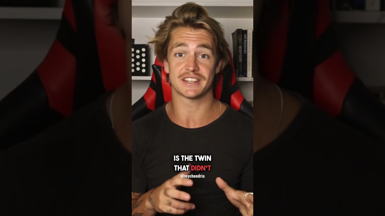 1735154179 maxresdefault.jpg