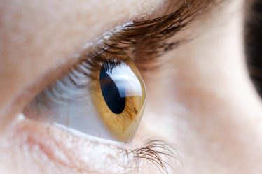 eye up close 11.jpg