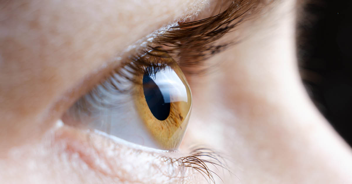 eye up close 11.jpg