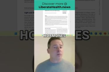 1736414795 maxresdefault.jpg