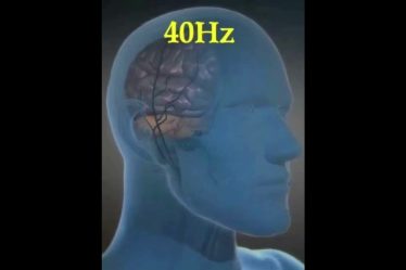 1736977626 maxresdefault.jpg