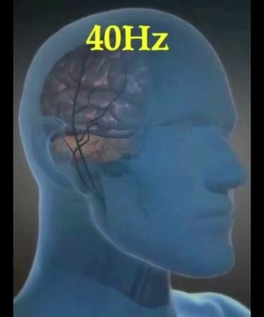 1736977626 maxresdefault.jpg