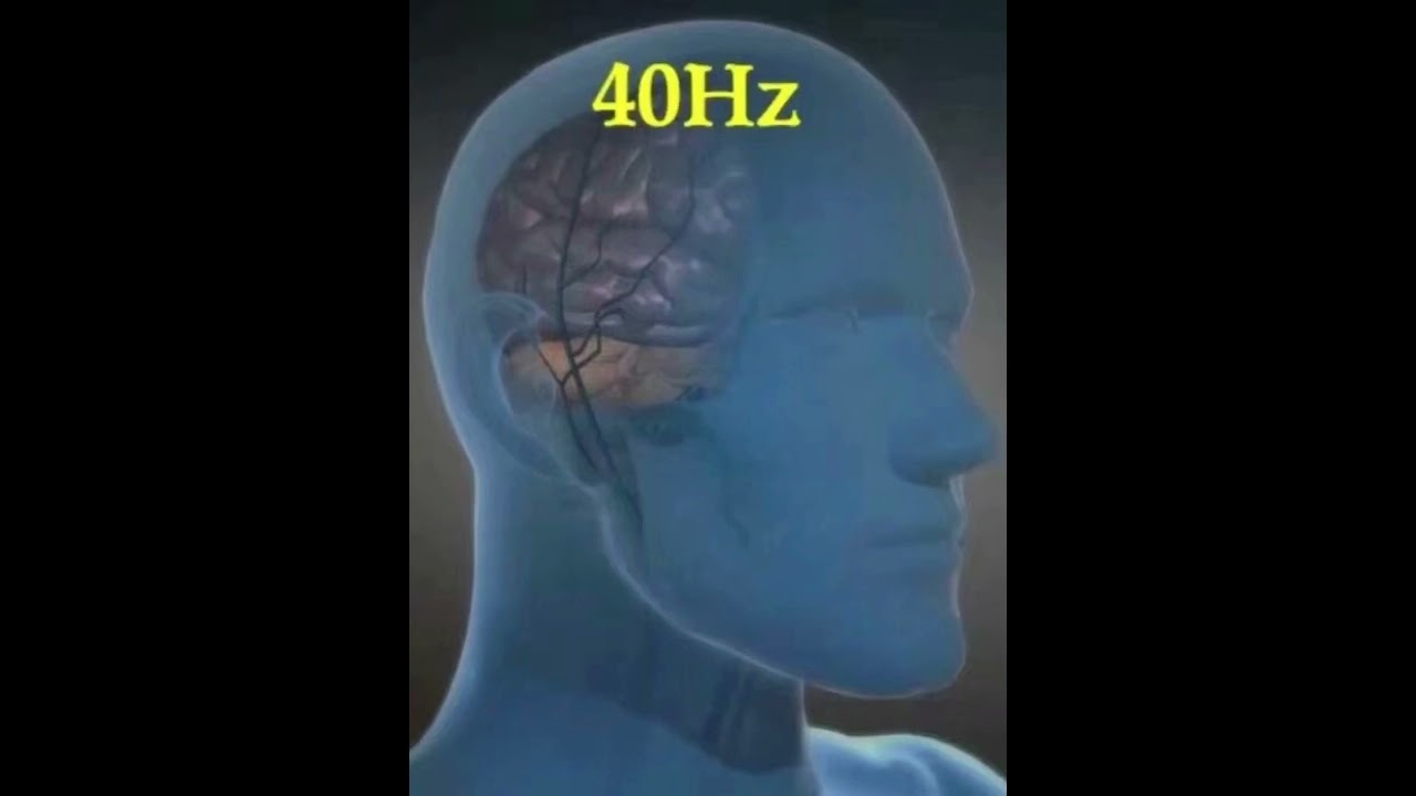 1736977626 maxresdefault.jpg