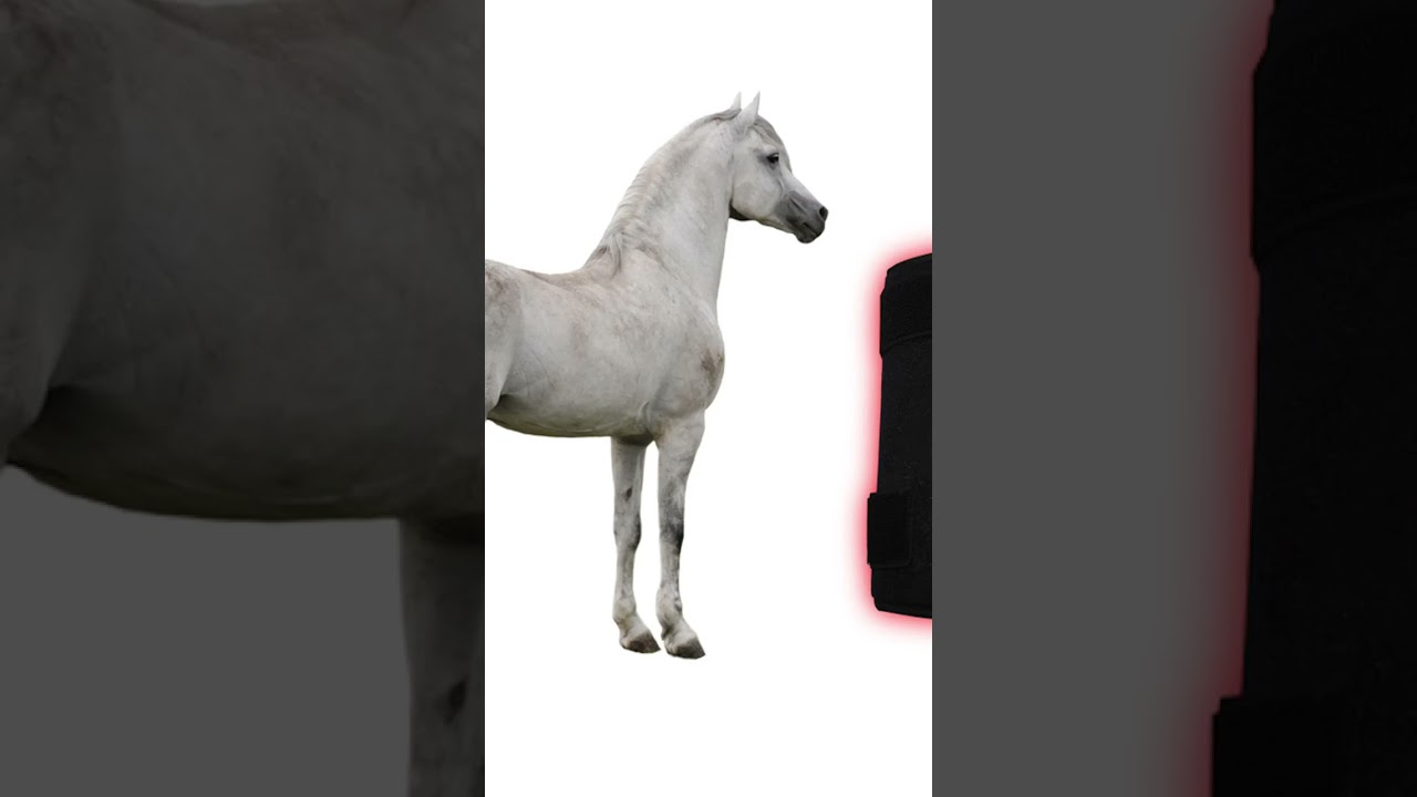 1737417610 maxresdefault.jpg