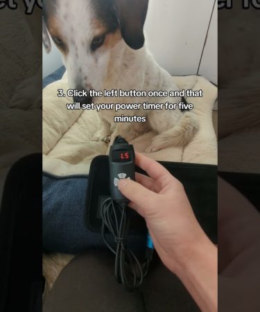 1741342292 maxresdefault.jpg