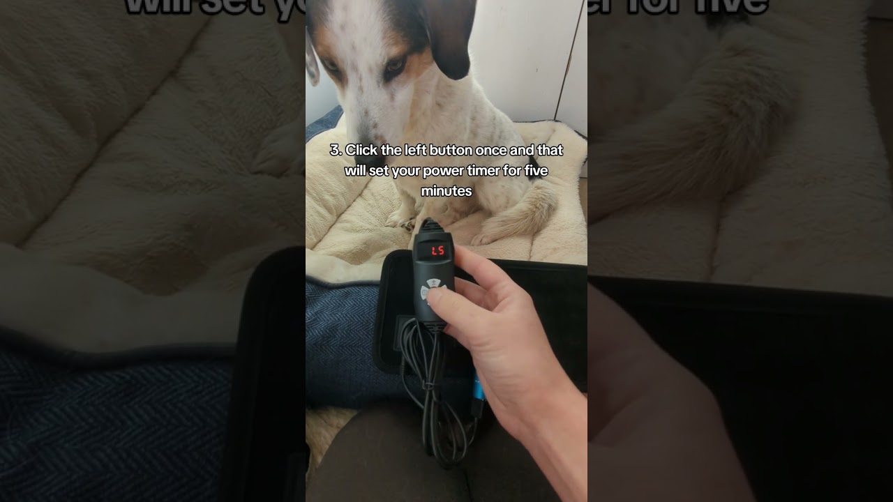 1741342292 maxresdefault.jpg