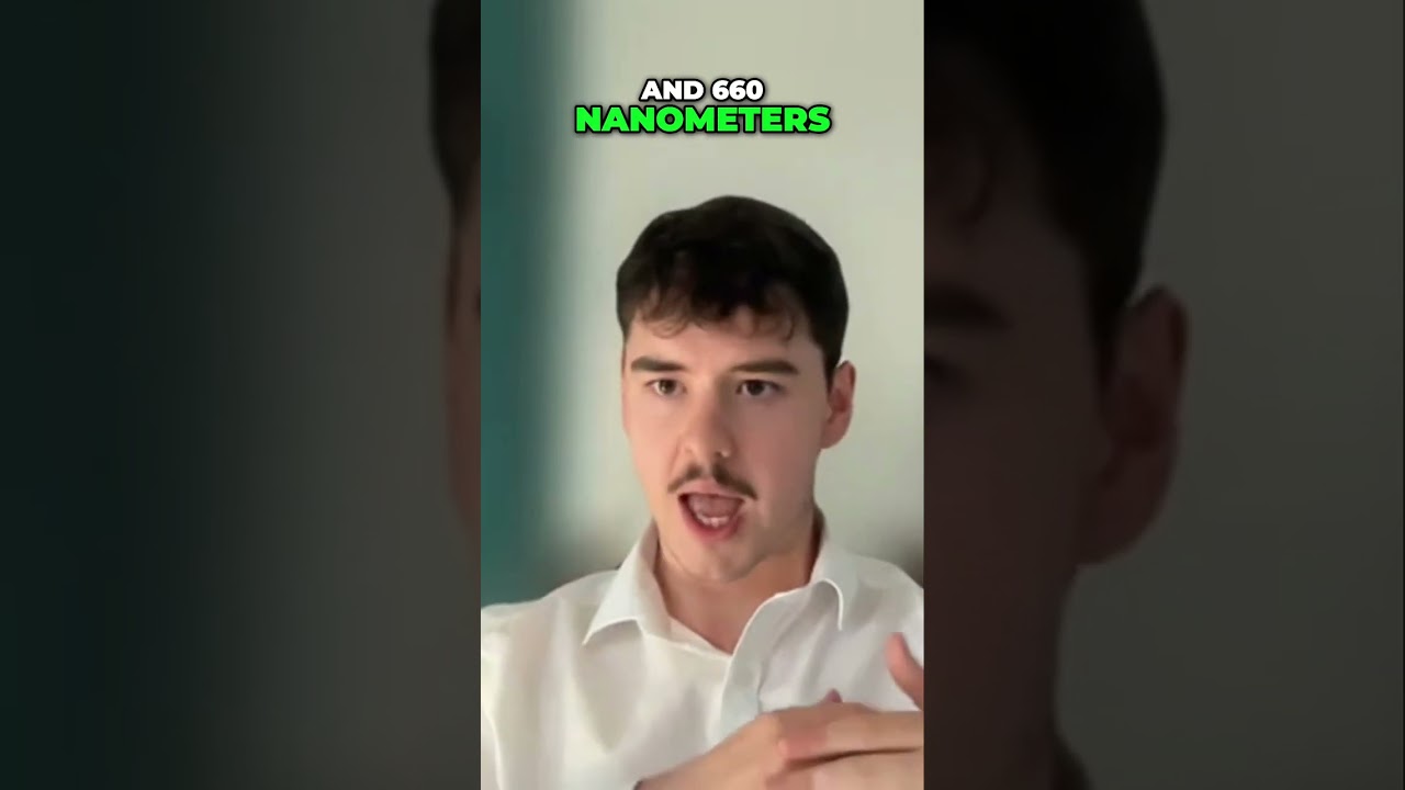 1743243826 maxresdefault.jpg