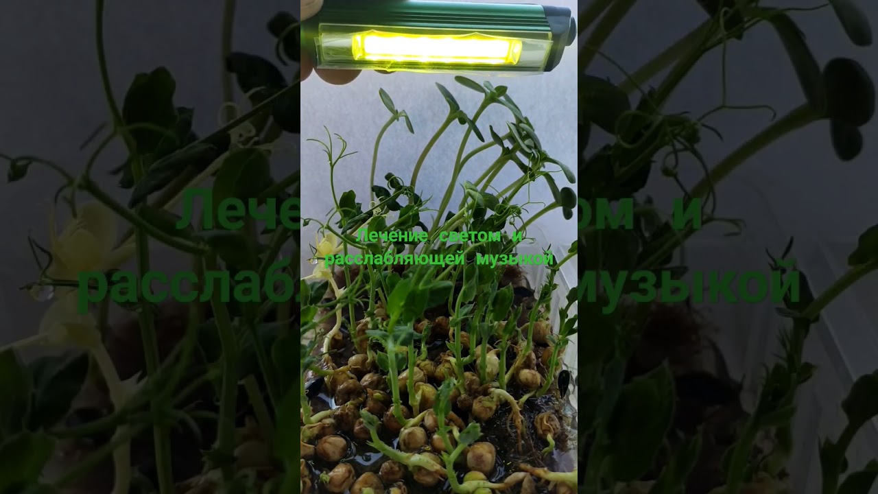 1743324520 maxresdefault.jpg