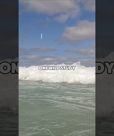 1743945073 maxresdefault.jpg