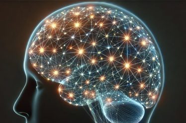brain networks.jpg